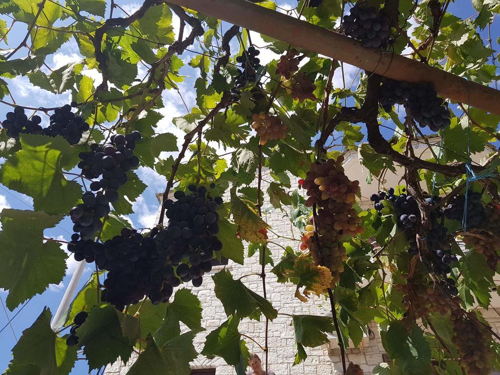 Sarandë Eglent'S Tourist House酒店 外观 照片